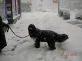 baby_wkc_2006_d.jpg 49.6, 640x480