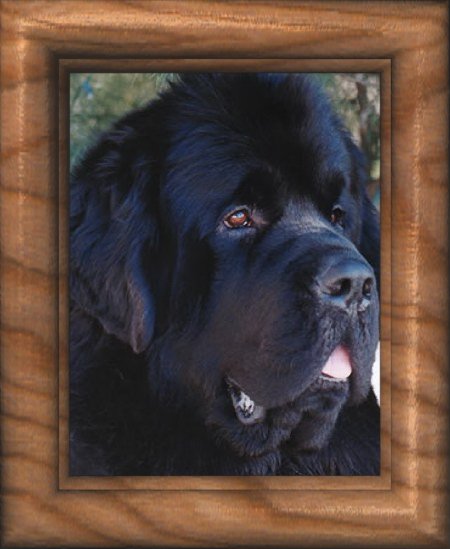 binder_spiral.jpg 41.8 Kb