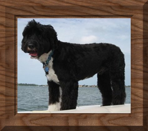 binder_spiral.jpg 33.7 Kb