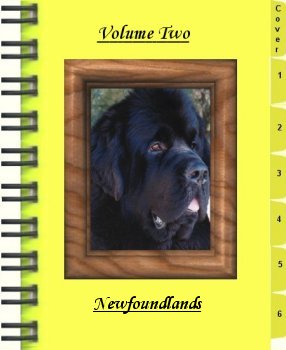 scrapbook_v2_image.jpg 17.3 Kb