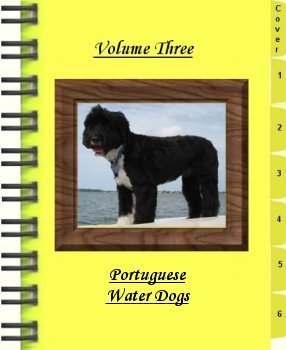 scrapbook_v3_image.jpg 17.3 Kb